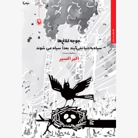 جوجه کلاغ ها سیاه به دنیا نمی آیند