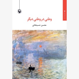 وطنی در وطنی دیگر