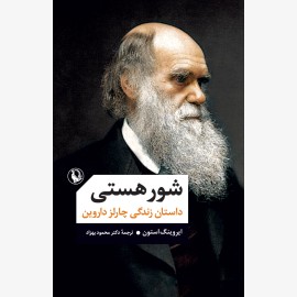 شور هستی