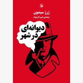 دیوانه ای در شهر